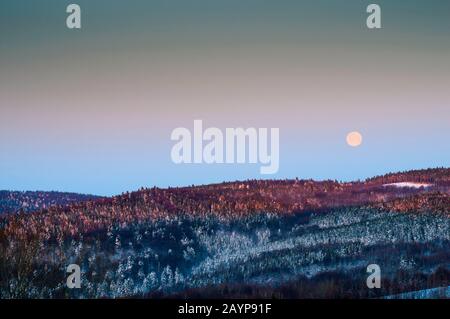 winter moon in the mountains over snowy forest Stock Photo
