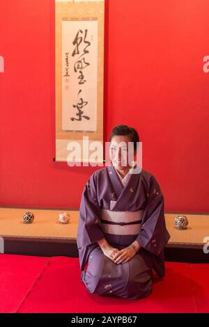 An information talk by a Japanese woman at Kaikaro - a former restaurant where geisha entertained their clients at a dinner function in an old tea hou Stock Photo