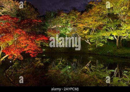The garden of the Kodai-ji Temple, which is located at the foot of Higashiyama Ryozen Mountains in Kyoto, Japan, with trees in fall colors illuminated Stock Photo