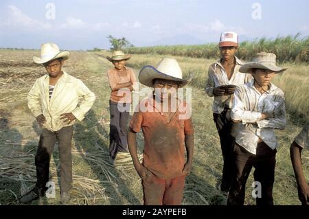 San Pedro Sula, Honduras: Children take a break from their hot and dirty work in a sugar cane field. ©Bob Daemmrich Stock Photo