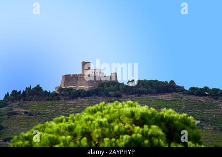 Close-up of Fort Saint-Elme Stock Photo