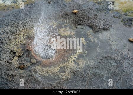 Hot springs spouting water at Hveravellir, a geothermal area of fumaroles and multicolored hot pools in the central highlands of Iceland. Stock Photo