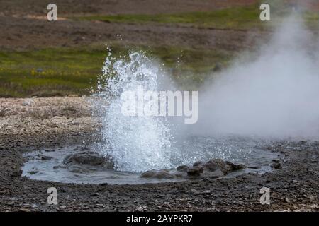 Hot springs spouting water at Hveravellir, a geothermal area of fumaroles and multicolored hot pools in the central highlands of Iceland. Stock Photo