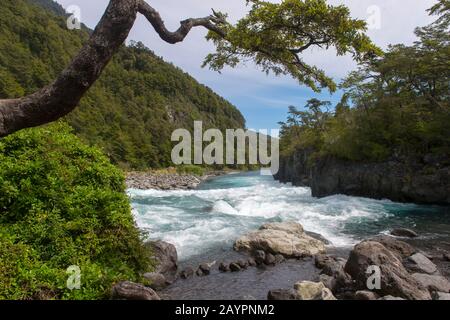 The Petrohue River in Vicente Perez Rosales National Park near Puerto Varas and Puerto Montt in the Lake District in southern Chile. Stock Photo
