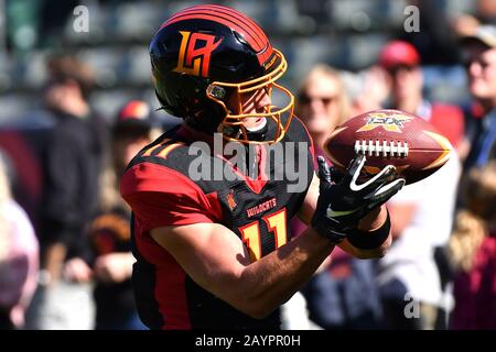 Carson, CA. 16th Feb, 2020. LA Wildcats wide receiver Nelson Spruce #11 in action during the XFL football game against the Dallas Renegades at the Dignity Heath Sports Park in Carson, California.Mandatory Photo Credit: Louis Lopez/CSM/Alamy Live News Stock Photo