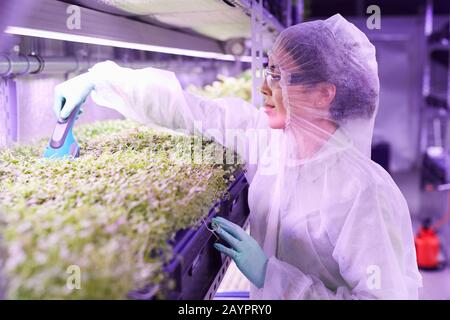 Side view portrait of female agricultural engineer caring for plants in nursery greenhouse using electric hand tool, copy space Stock Photo