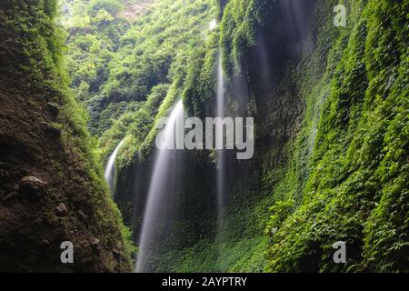 Madakaripura waterfall, in East Java, Indonesia. Multiple waterfalls stream down the steep cliff covered with tropical vegetation. Stock Photo