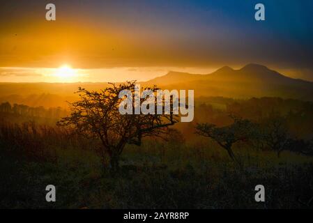The Sun setting over the Eildon Hills from Scott's View in the Scottish Borders with hawthorn bushes Stock Photo