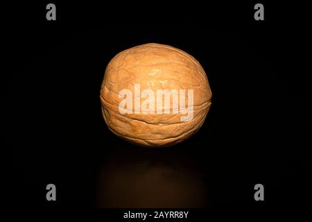Macro photo of whole walnut with reflection on a black background with clipping path. Stock Photo
