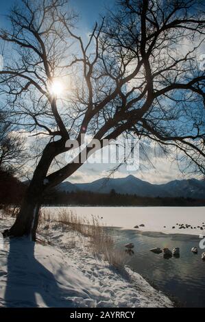 Easter lake in winter Stock Photo - Alamy