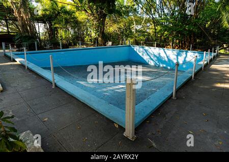 An old abandoned blue pool in the backyard. Dry unused swimming pool. autumn. Stock Photo