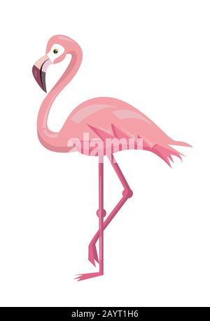 Flamingo bird illustration design on background Stock Vector