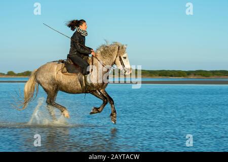 A Guardian (Camargue cowgirl) is riding through the marshlands of the Camargue in southern France. Stock Photo
