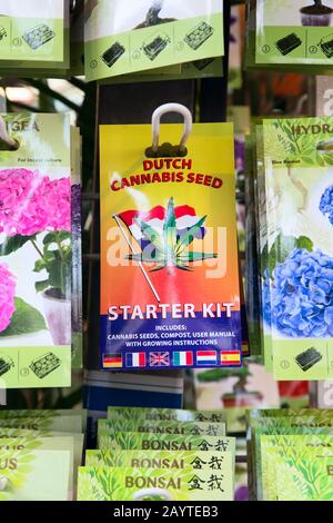 Amsterdam, Netherlands - March 31, 2016: Starter kit cannabis seeds for sale at the market in Amsterdam Stock Photo