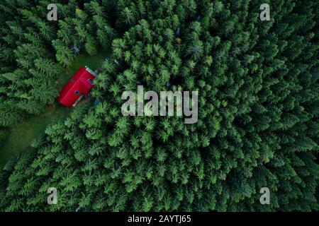 Fairy-tale little house in the woods taken from a drone. Stock Photo