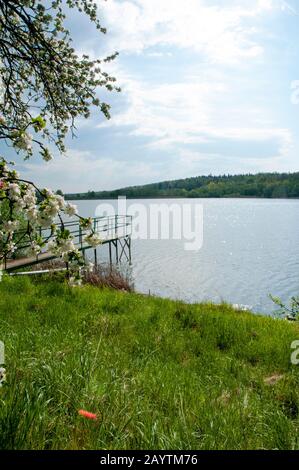 Blooming trees on a mountain lake in the open air against the background of the forest and mountains Stock Photo