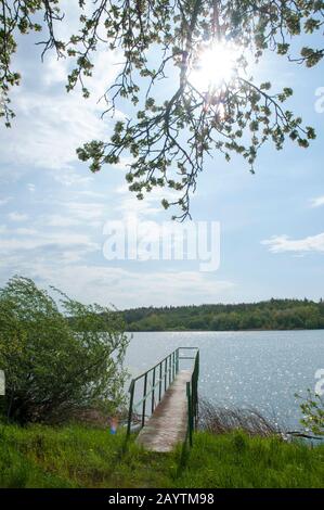 Blooming trees on a mountain lake in the open air against the background of the forest and mountains Stock Photo