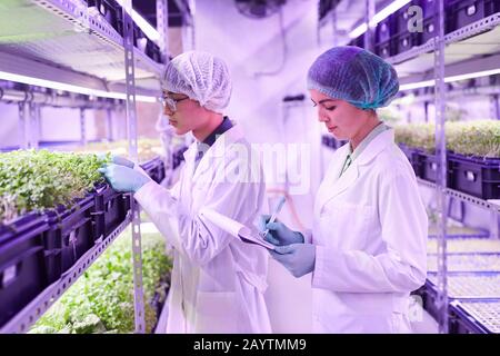 Side view portrait of two young workers taking notes while examining plants in nursery greenhouse, copy space Stock Photo