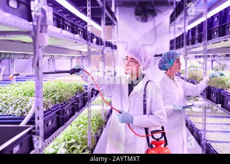 Portrait of two young workers caring for plants in nursery greenhouse, copy space Stock Photo