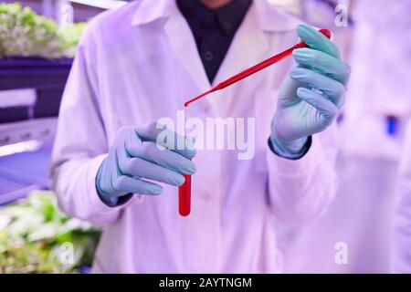 Mid section crop of unrecognizable scientist holding glass tube with red liquid while working in bio laboratory, copy space Stock Photo