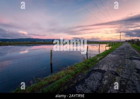 A flooded field along a country road at sunset. Stock Photo