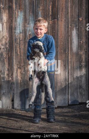 Krastava village, Rhodope mountains / Bulgaria : Portrait of little boy hug lamb in the farm. Stock Photo