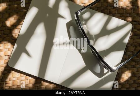 Trendy sunglasses, planner with palm leaf shadow on white background Stock Photo