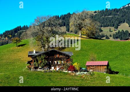 Remote mountain farm in Swiss chalet style near Gstaad, canton of Bern, Switzerland Stock Photo