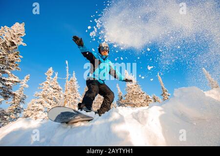 Action snowboarder on snowboard rides on fresh snow in forest, dust explosion