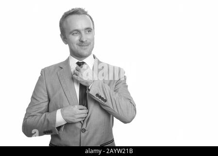 Portrait of handsome businessman in suit fixing tie Stock Photo