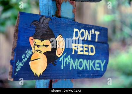 sign-dont-feed-the-monkey-thailand-koh-phi-phi-2ayw24m.jpg