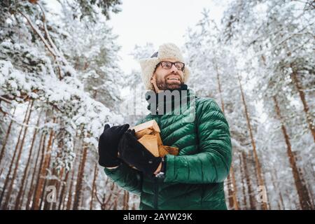 View from below holds firewood, looks happily aside, going to make fire, stands against beautiful white trees, admires majestic atmosphere in forest, Stock Photo