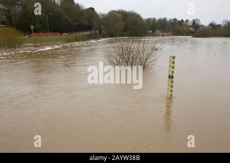 A water level marker in the flooding River Stour near Sturminster Newton that has swollen with water following heavy rains from Storm Dennis. The stor Stock Photo