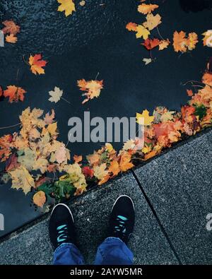 From above of crop anonymous person preparing color paint palette Stock ...