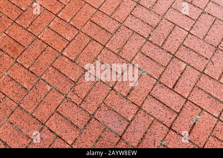 Brown cobble stone walkway get wet cause of rain. Pavement texture Stock Photo