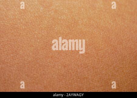 texture of the skin.Dark skin of woman hand macro. Human skin texture background Stock Photo