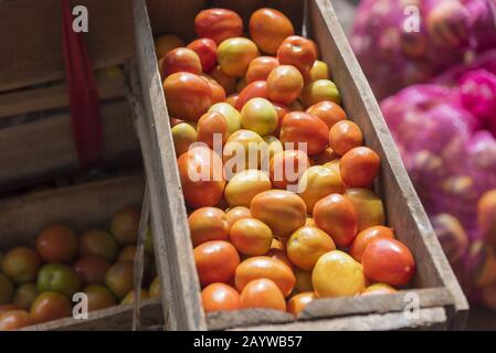 Crate of fresh tomatoes for sale in a wholesale market. Stock Photo