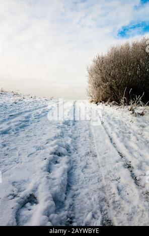 Views around a very cold and frozen Cowpen Bewley Woodland Park, Billingham, Teesside, County Durham, England, UK Stock Photo