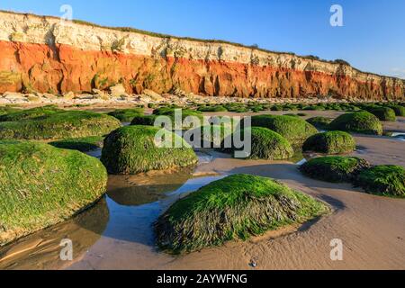 hunstanton coast norfolk county cliff strata geology from beach east anglia england uk gb Stock Photo