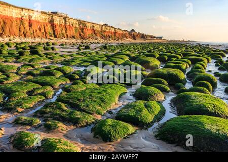 hunstanton coast norfolk county cliff strata geology from beach east anglia england uk gb Stock Photo