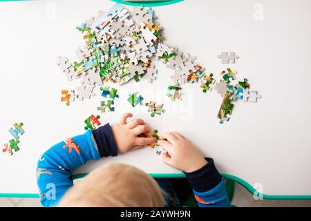 Baby boy solving jigsaw puzzle on the desk, focusing on the hands Stock Photo