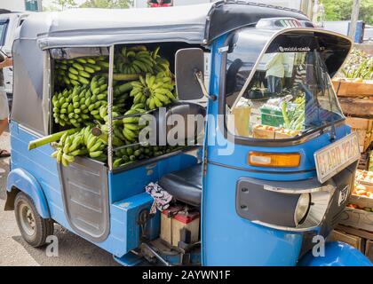 Dambulla, Sri Lanka: 18/03/2019: Largest fruit and vegetable market in Sri Lanka. Truck being loaded with bananas in sacks. Stock Photo