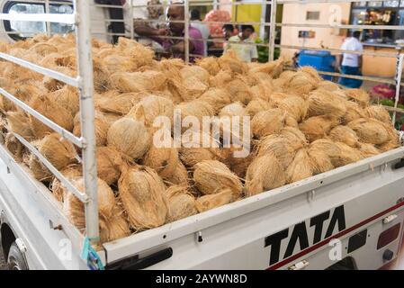 Dambulla, Sri Lanka: 18/03/2019: Largest fruit and vegetable market in Sri Lanka. Truck being loaded with coconuts. Stock Photo