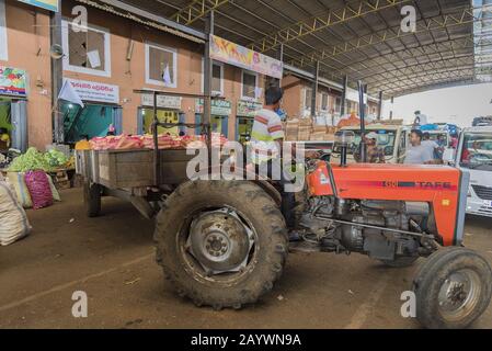 Dambulla, Sri Lanka: 18/03/2019: Largest fruit and vegetable market in Sri Lanka. Truck being loaded with various vegetables in sacks. Stock Photo