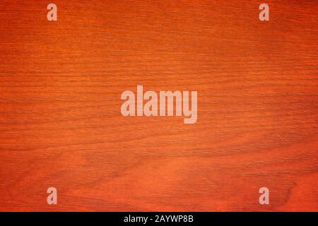 Veener wood texture background surface Stock Photo