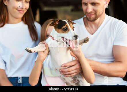 Close-up shot focused on jack russell terrier held by paws a girl, father and mothers are smiling on the background, white family look Stock Photo