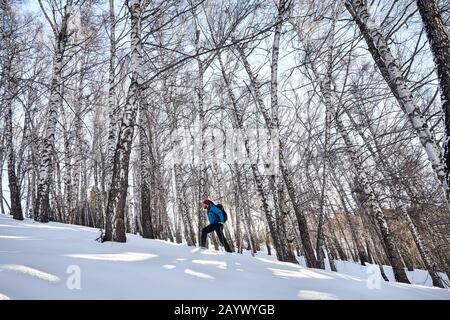 Tourist with blue jacket and dreadlocks is walking on the snow trail in birch grove the snowy mountains at winter time Stock Photo