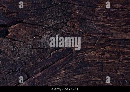 wooden background from boards - dark brown Stock Photo