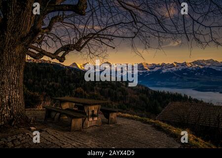 A table and two benches under a tree with view to Lake Thun and Bernese Alps in the afterglow Stock Photo