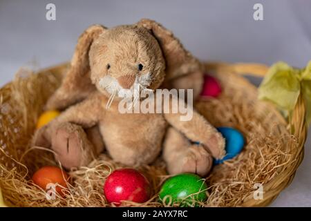 Stuffed easter bunny is sitting in straw basket with red, green, orange, blue and yellow colored cooked eggs. Rabbit looking friendly to camera. High Stock Photo